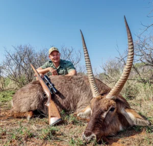 Waterbuck
